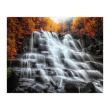 Into the woods (Print Only) thumbnail