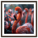 Beautiful Close Up Of A Pink Flamingo Bird thumbnail