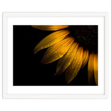 Backyard Flowers No 28 Sunflower thumbnail