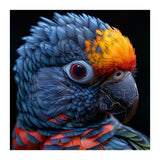 Close Up Vibrant Parrot Eye  (Print Only) thumbnail