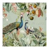 Vintage Exotic Asian Peacocks In Tropical Jungle Landscape (Print Only) thumbnail