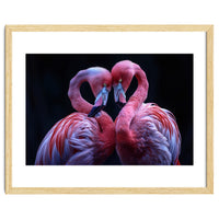 Two Pink Flamingos Forming A Heart Shape