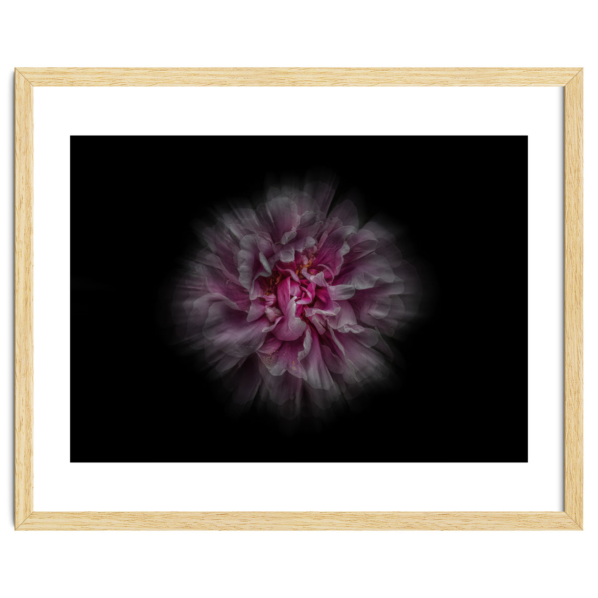 Backyard Flowers No 116 Color Flow Version