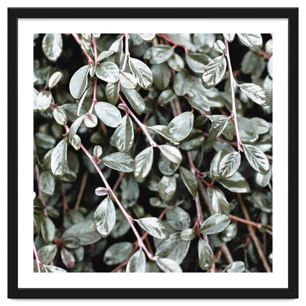 Rain #society6 #decor #buyart