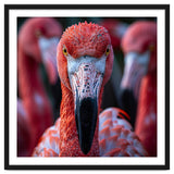 Close Up Of A Flamingo Bird Face, Pink Feathers thumbnail