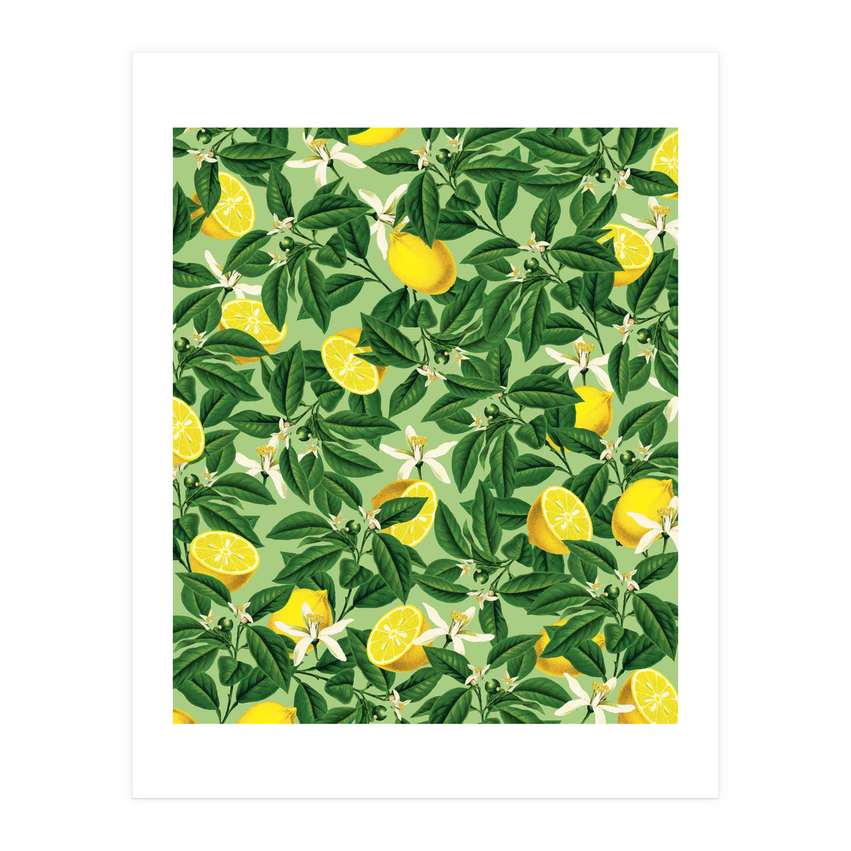 Lemonade Garden, Green Fresh Lemon Botanical Illustration, Vibrant Summer Tropical Fruit Nature (Print Only)