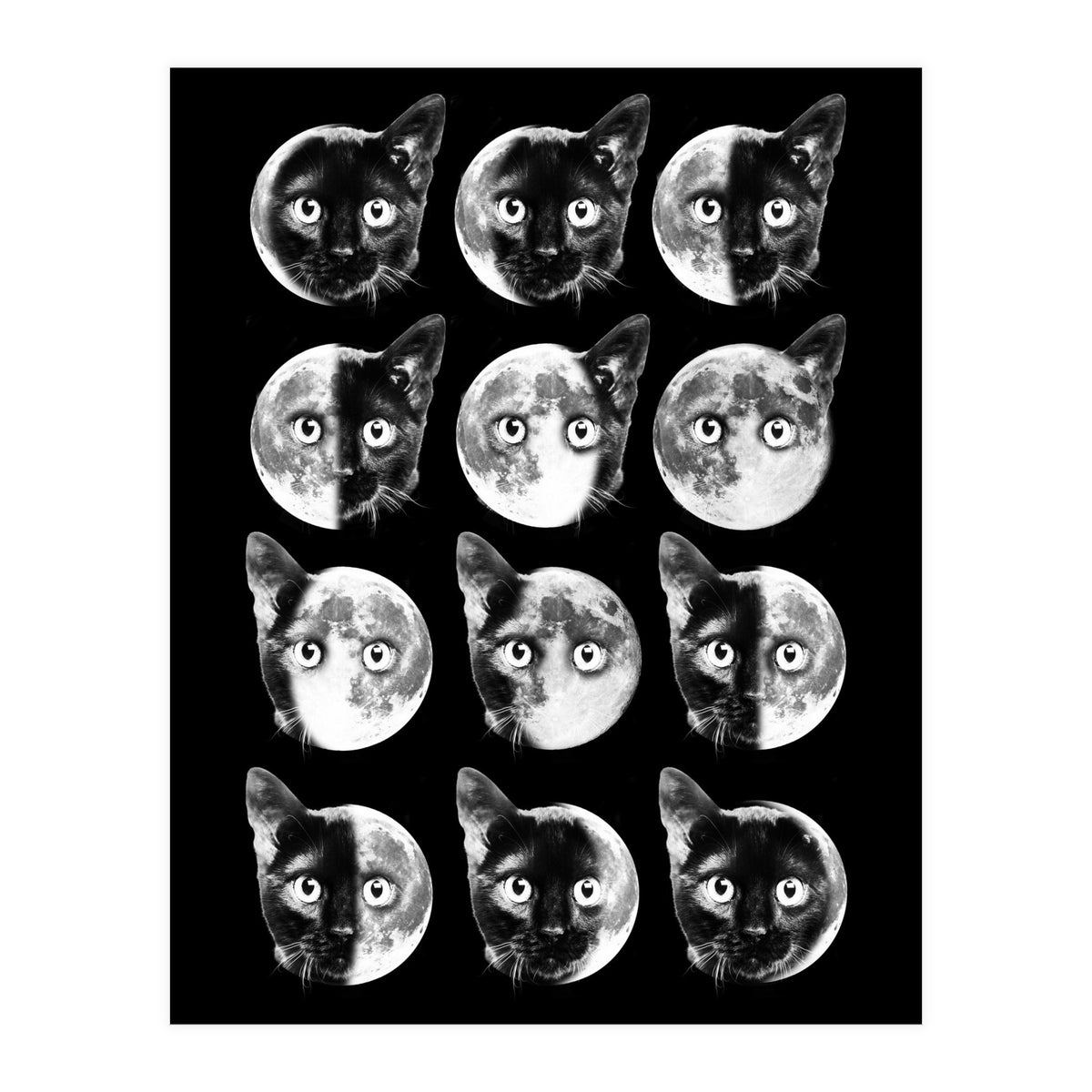 Cat Moon Phases (Print Only)