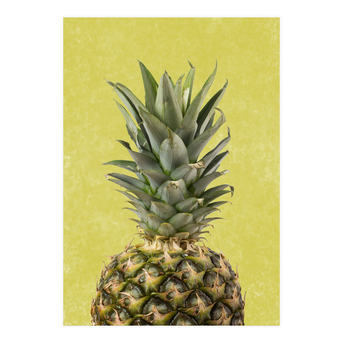 Pineapple Crown, Tropical Summer Fruit Art (Print Only)