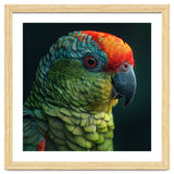 Close Up Colorful Parrot Bird Feather thumbnail