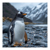 Gentoo Penguin Standing On A Rocky Shore (Print Only) thumbnail