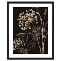 Wildflowers I