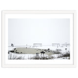 Blackbirds surrounding a frozen pond in winter thumbnail