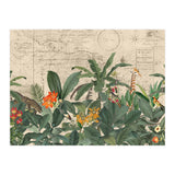 Explore The New World Wild Animals (Print Only) thumbnail