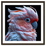 Pink Cockatoo Parrot Close Up Portrait Feather thumbnail