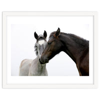 Two Horses