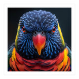Close Up Of A Colorful Rainbow Lorikeet Bird (Print Only) thumbnail