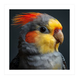 Cockatiel Parrot Closeup Vibrant Feather  (Print Only) thumbnail