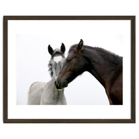 Two Horses