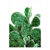 Velvet Cactus | Watercolor Botanical Plants | Minimal Boho Scandinavian Painting (Print Only) thumbnail