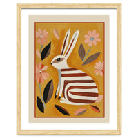 Striped Hare