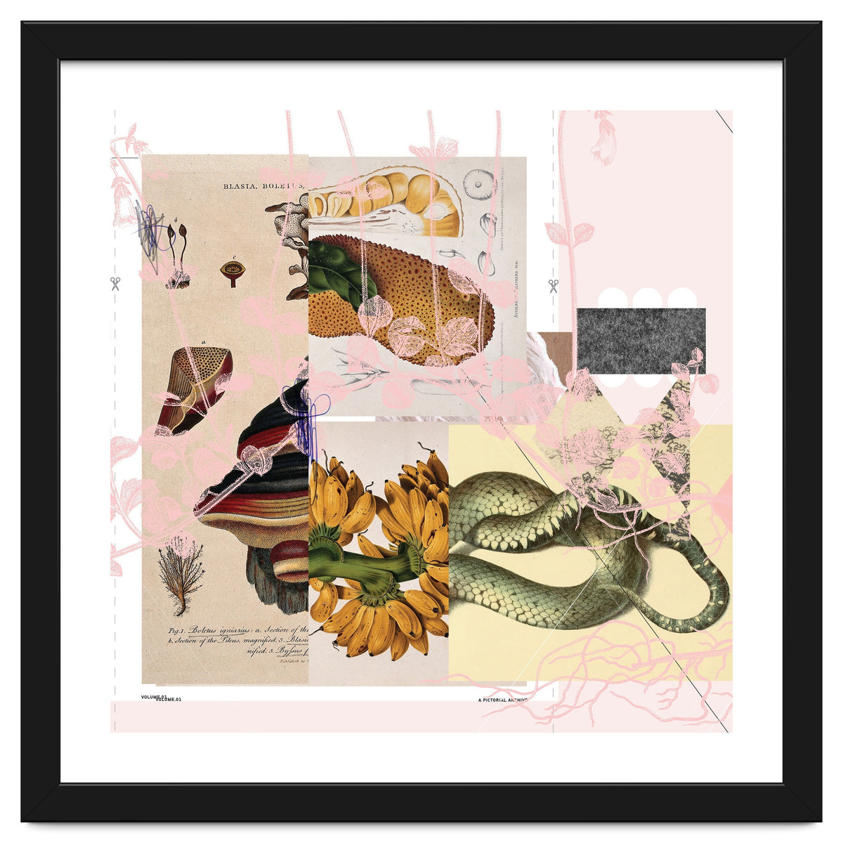 Abstract White Daydream Flower