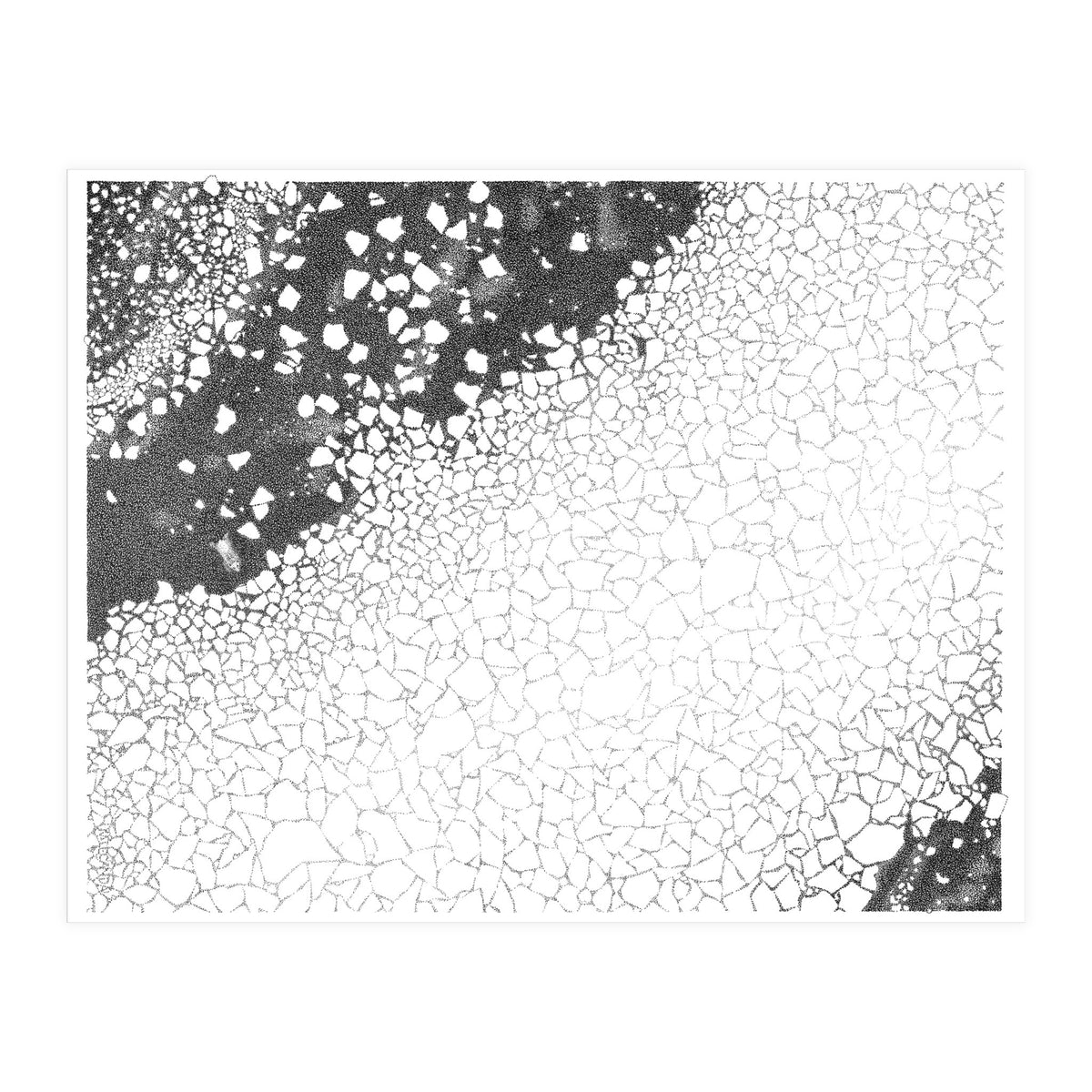 80 Degrees North (Print Only)