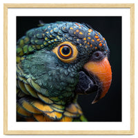 Close Up Of A Colorful Parrot's Face