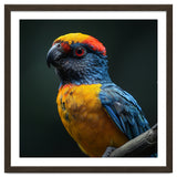 Close Up Colorful Parrot Perched On A Branch thumbnail