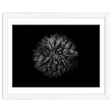 Backyard Flowers In Black And White No 68 with Border thumbnail