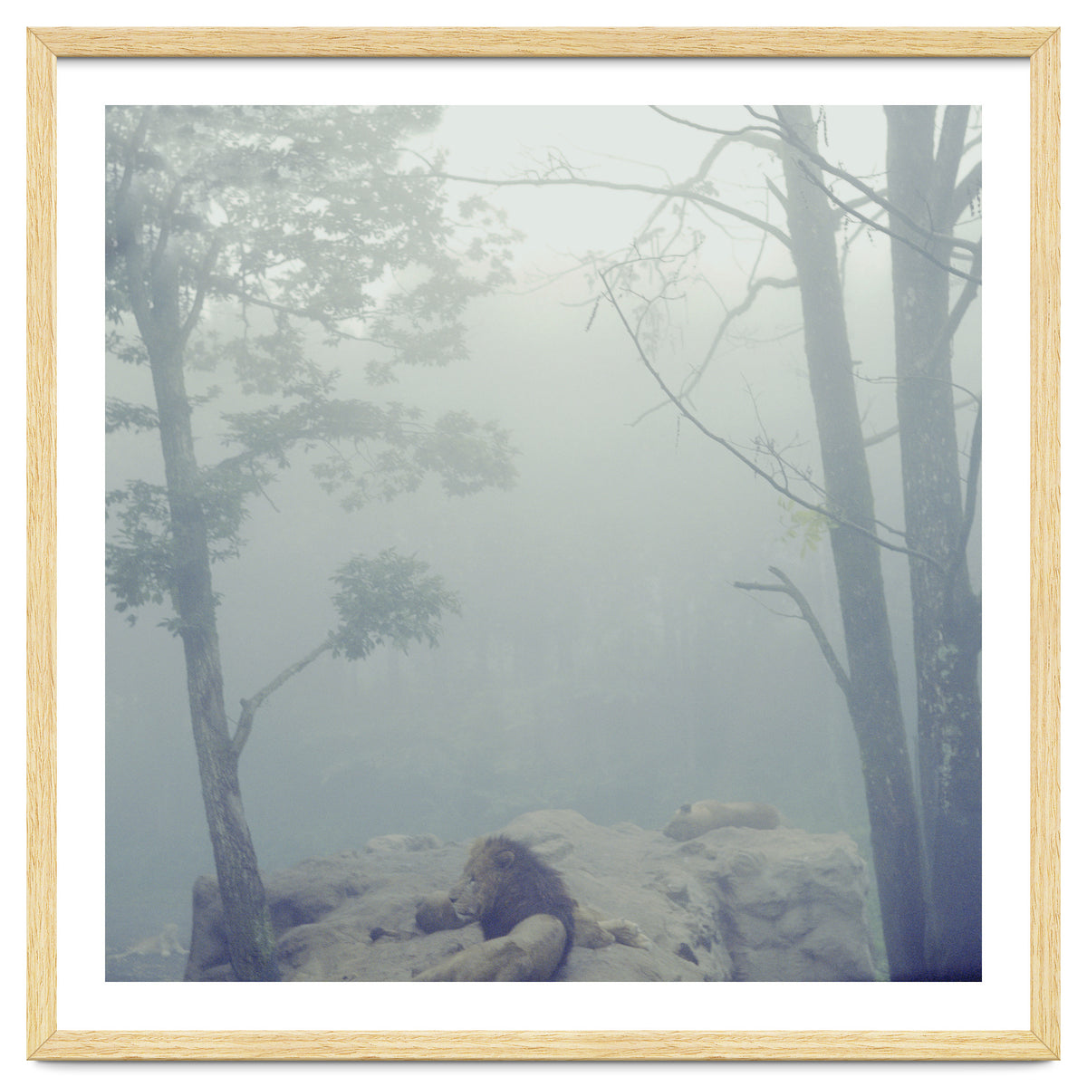 Silence of breath - 02