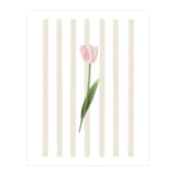 Single Tulip (Print Only) thumbnail