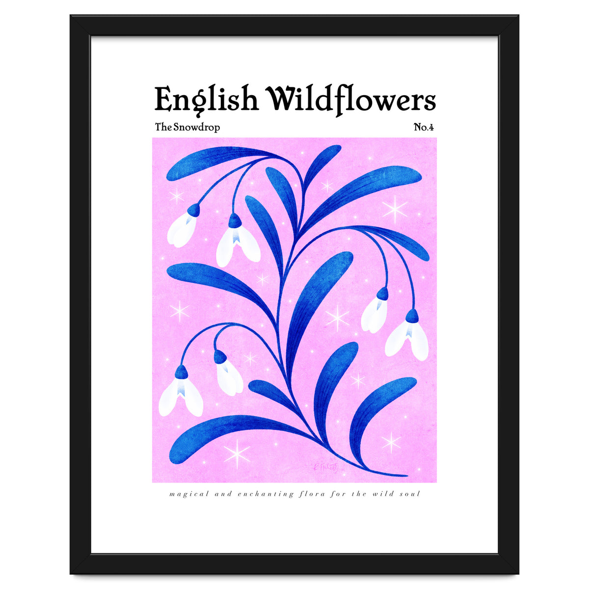 English Wildflowers | Snowdrops