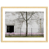 A tree in front of the wall thumbnail