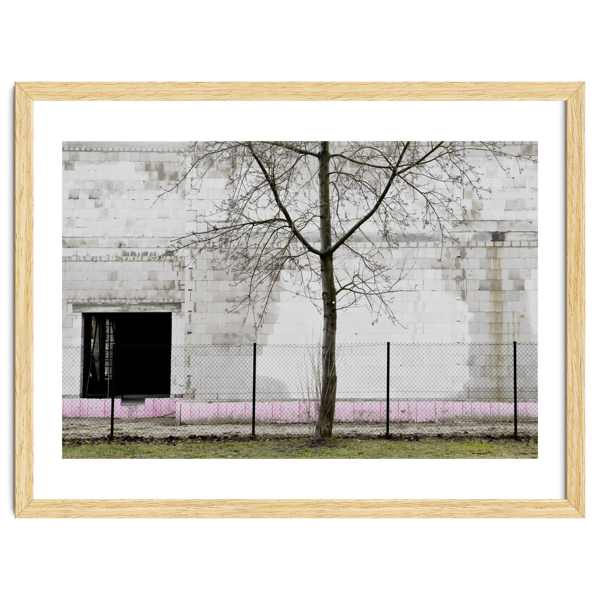 A tree in front of the wall