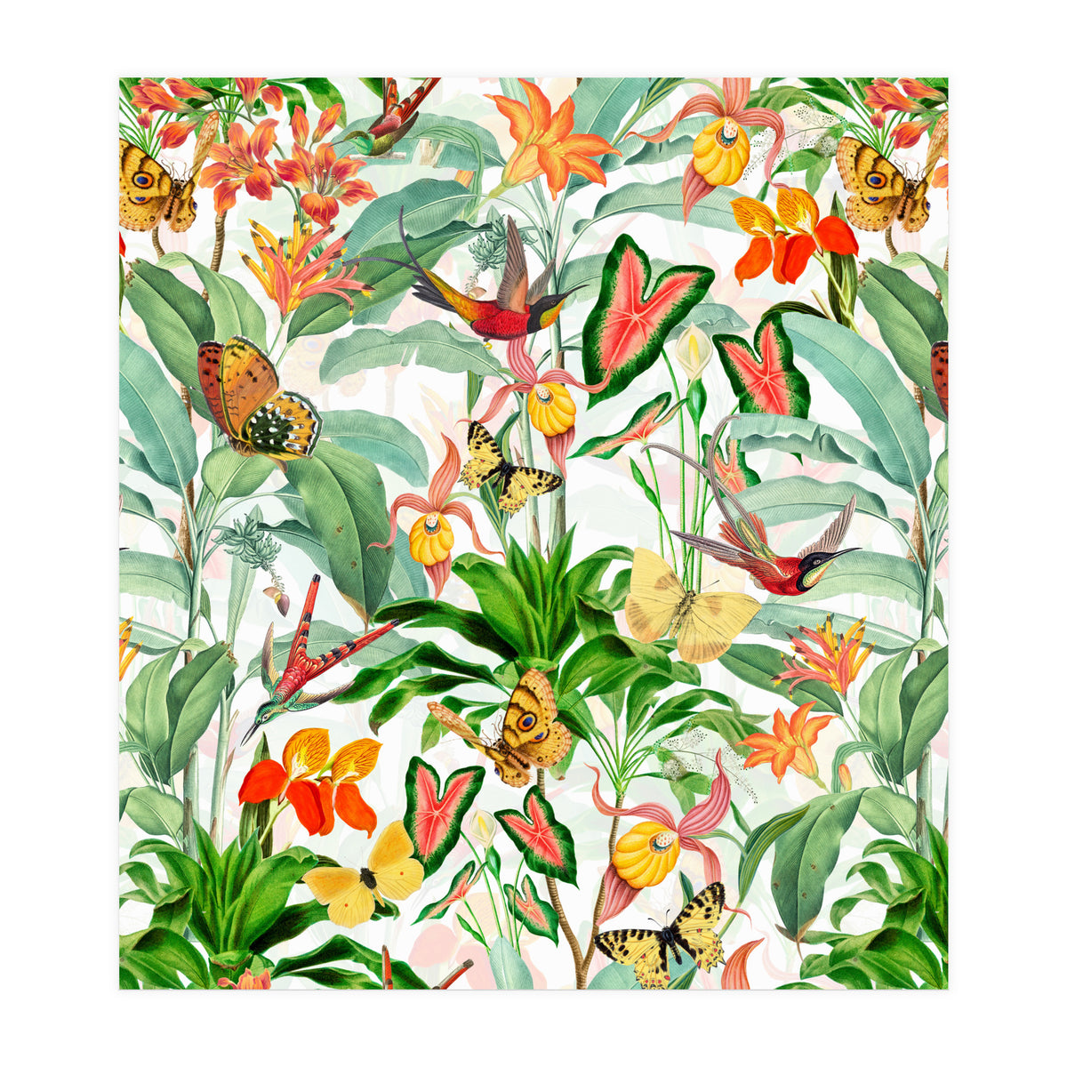 Birds And Butterflies In Tropical Jungle (Print Only)