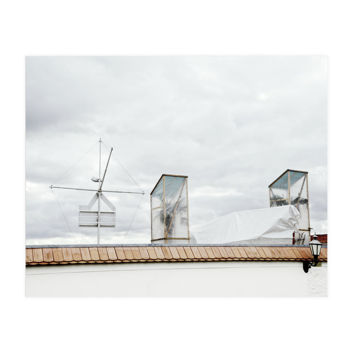 Palm tree waiting for summer (Print Only)