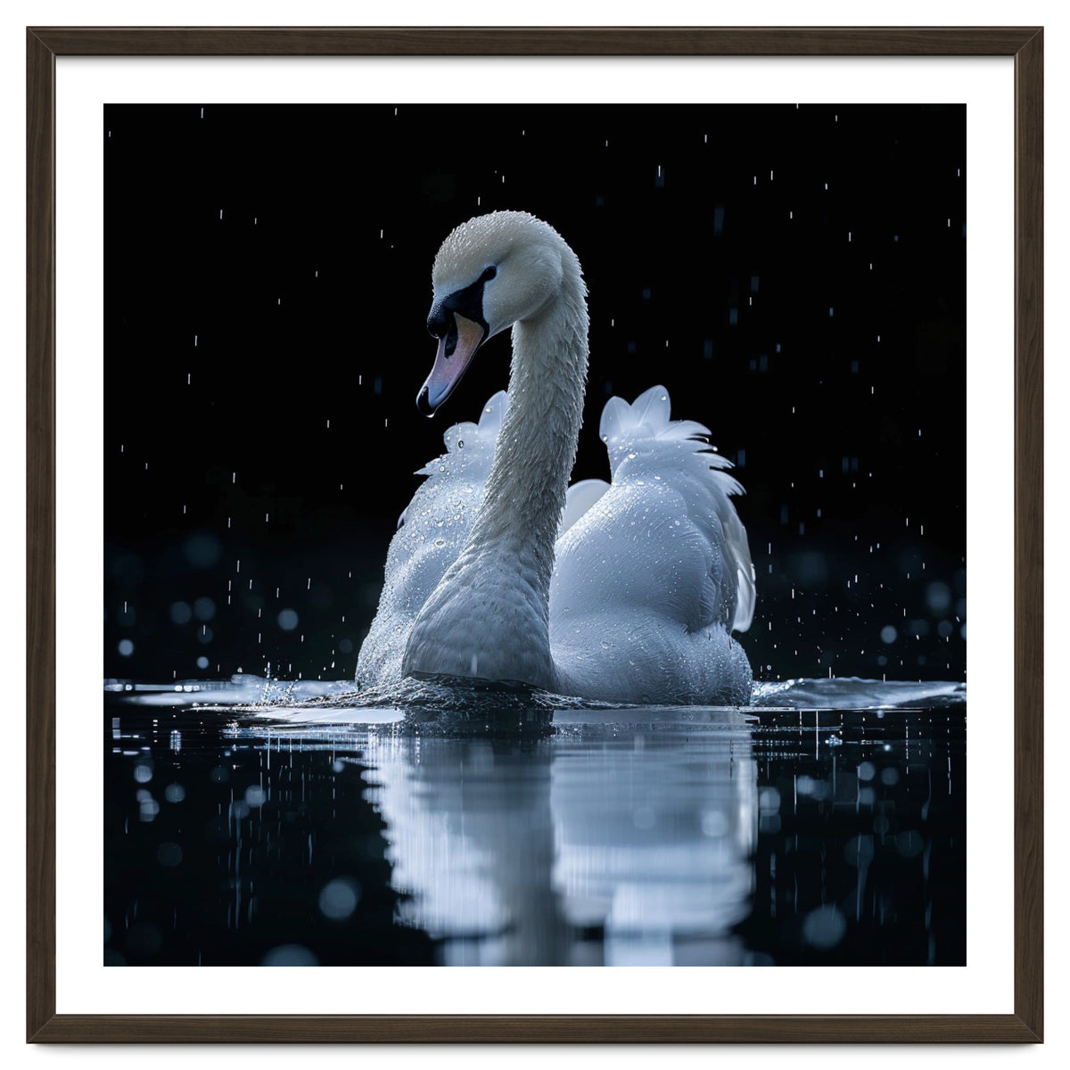 Majestic Swan Swimming In Dark Water