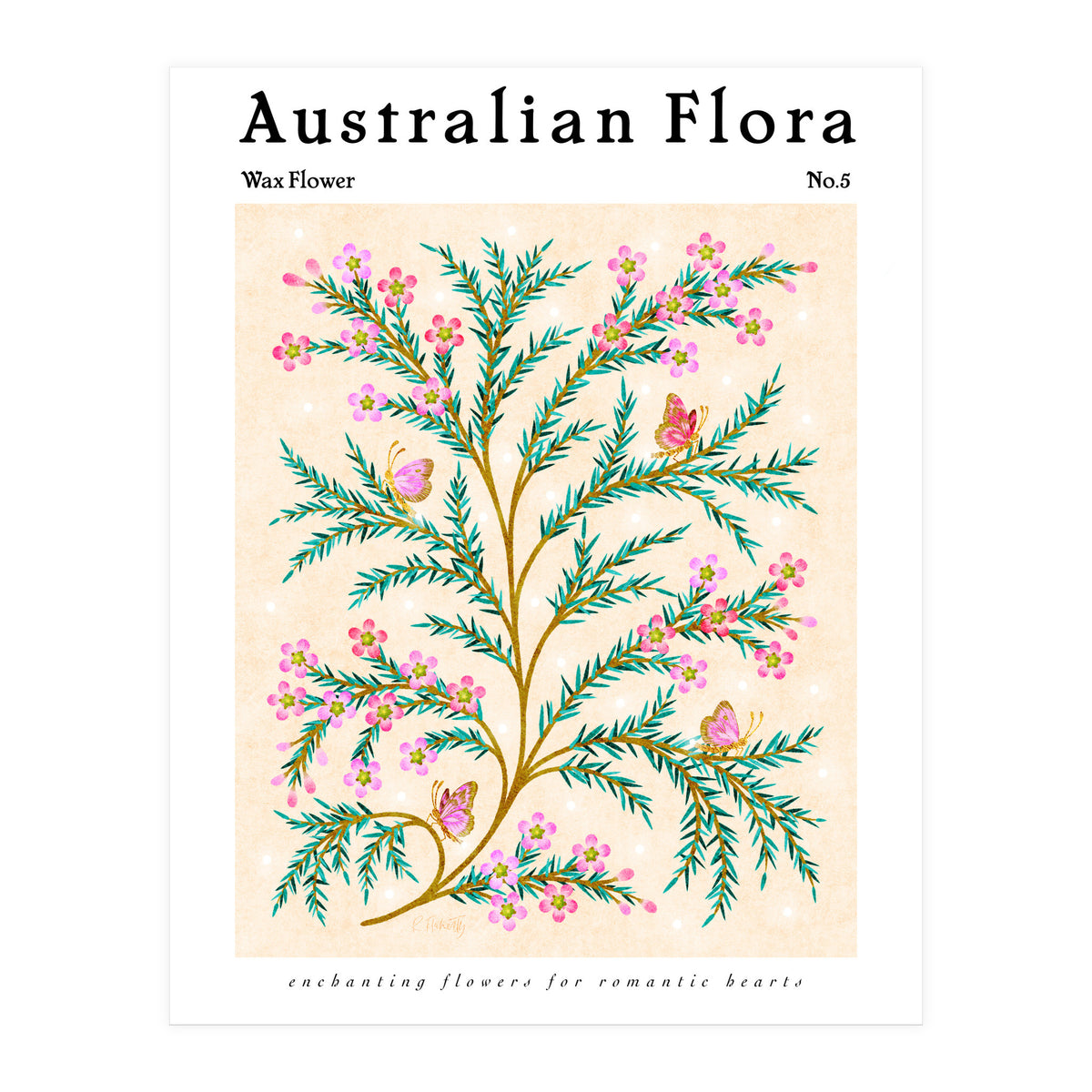 Australian Flora: Wax Flower (Print Only)