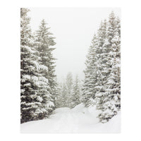 Walk in the winter forest (Print Only)
