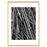 Black Tectorius Plant Shoots Art thumbnail
