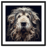 Old Dog 010 thumbnail