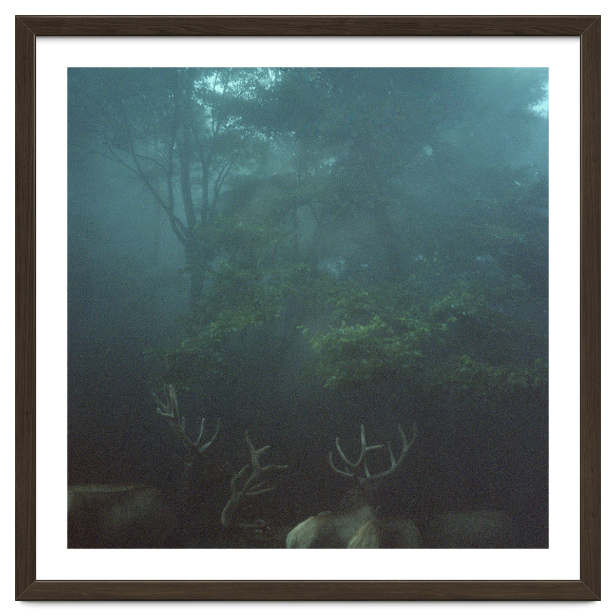 Silence of breath - 12