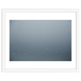Flying Segulls in thet winter sky thumbnail