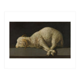 Francisco de Zurbarán / 'Agnus Dei (The Lamb of God)', 1635-1640, Spanish School. (Print Only) thumbnail