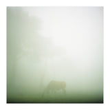 Silence of breath - 09 (Print Only) thumbnail