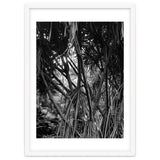 Black Tectorius Plant Art thumbnail