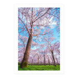 Spring in optima forma (Print Only) thumbnail