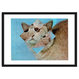 The Depressive Cat Am Abend Bekommt Den Blues thumbnail