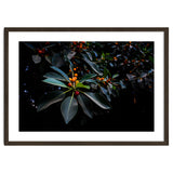 Orange, Green and Dark thumbnail