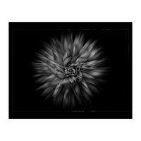 Backyard Flowers In Black And White No 20 Flow Version with Border (Print Only)